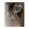Stupell Industries Transparent Gossamer Flowers Canvas By Annabelle Hall